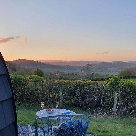 Odli Glamping - Luxury Glamping Pod Villa Welshpool Exteriör bild