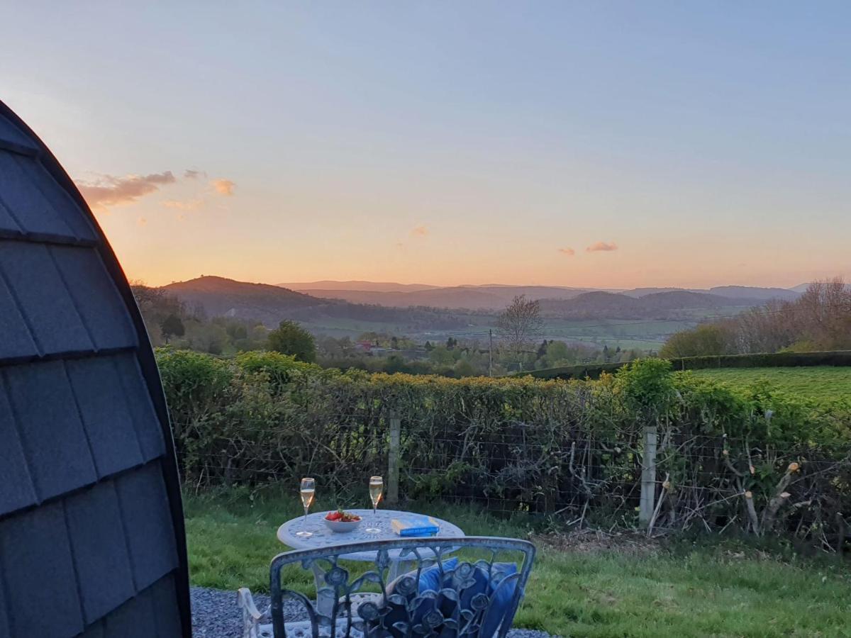 Odli Glamping - Luxury Glamping Pod Villa Welshpool Exteriör bild
