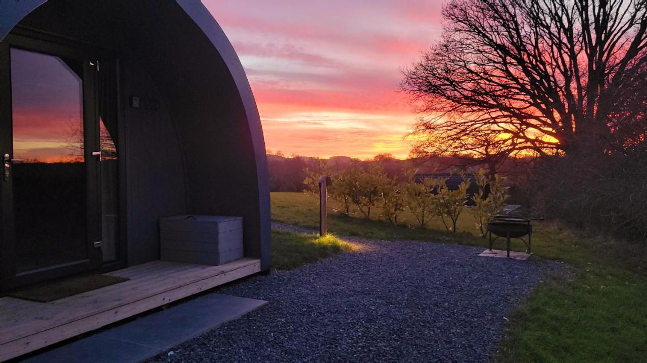 Odli Glamping - Luxury Glamping Pod Villa Welshpool Exteriör bild